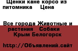 Щенки кане корсо из  питомника! › Цена ­ 65 000 - Все города Животные и растения » Собаки   . Крым,Белогорск